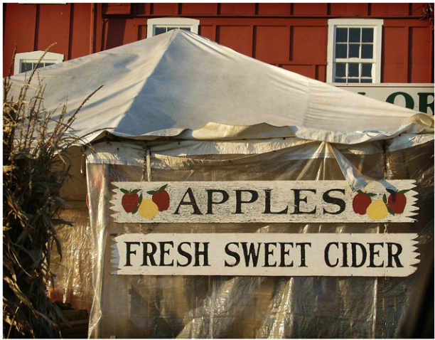 Apples And Cider #151 - ID: 1756375 © Timlyn W. Vaughan