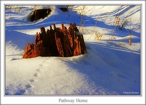 Pathway Home