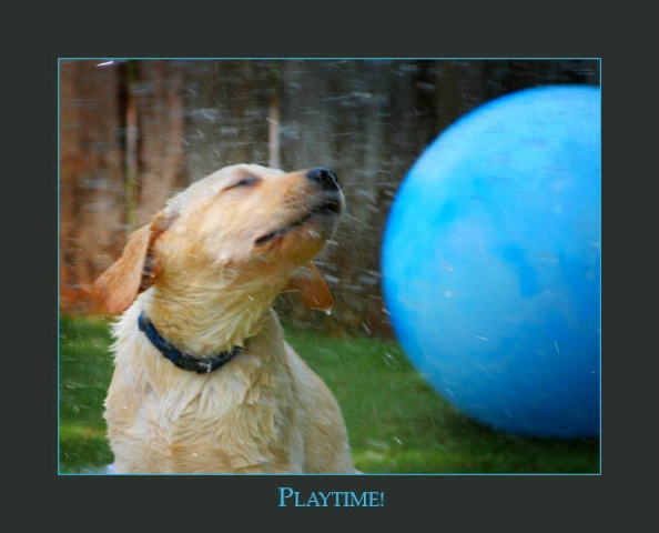 Playtime!