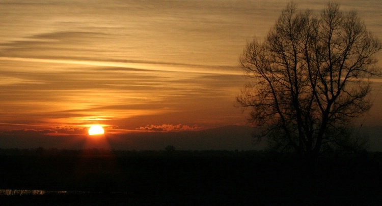 Afton Sunset