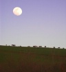 Full moon over pa...