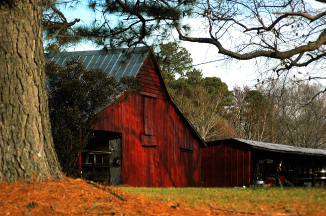 The Red Barn