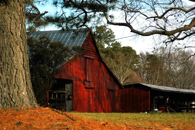 The Red Barn