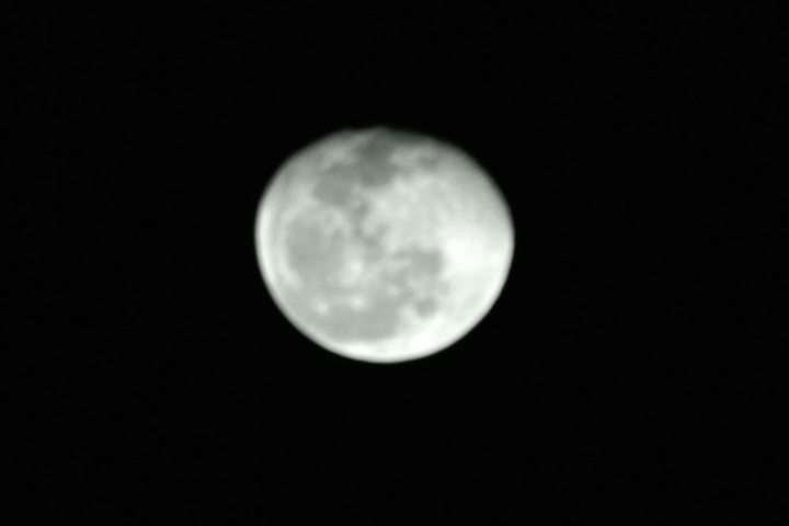 moon lit