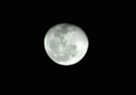 moon lit