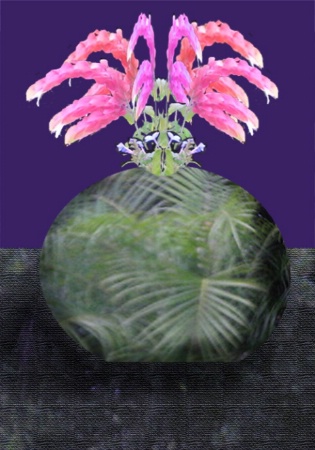 A Vase for Dr. SIlly