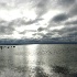 © Danny L. Klauss PhotoID # 1777460: Early morning glimmer