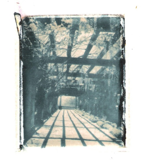 Ghost Image - Biltmore walkway