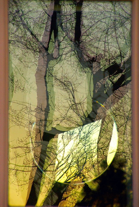Reflections