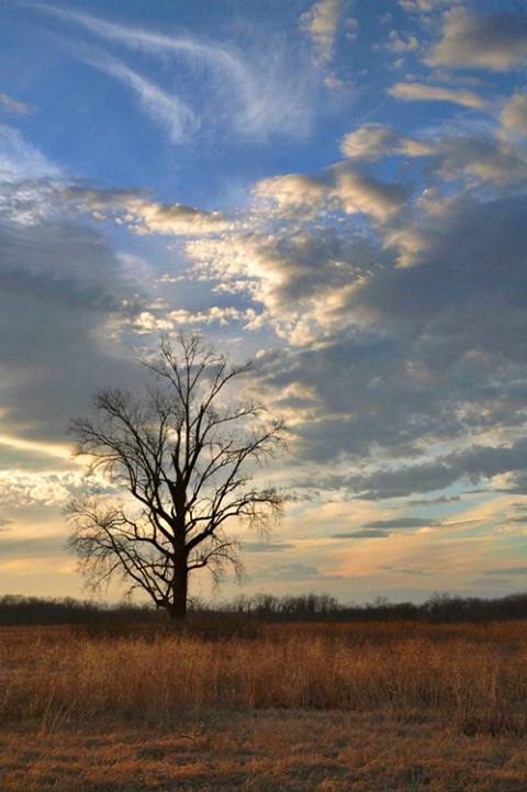 Late Afternoon