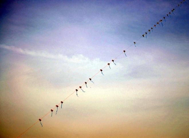 Kites