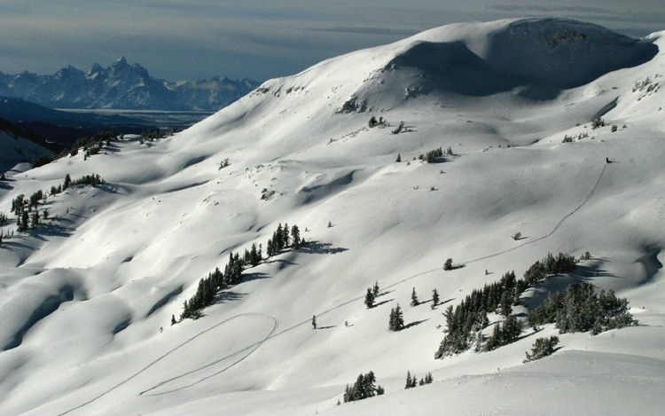 Snowmobile Heaven