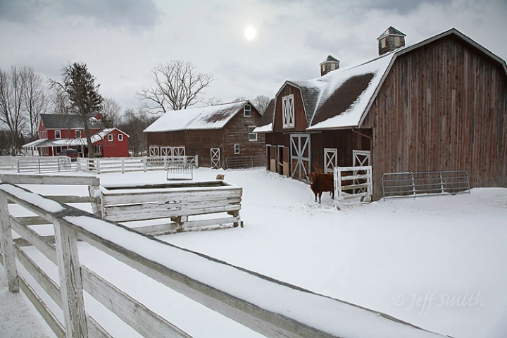 Winter at the Farm