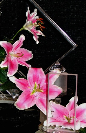 Crystal and Lilies