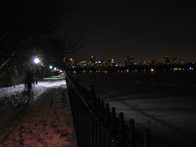 Central Park, Winter night