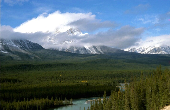 Canadian Rockies - ID: 1806738 © Heather Robertson
