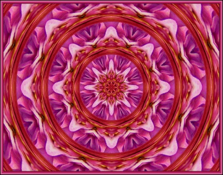 * Purple, Pink & White *