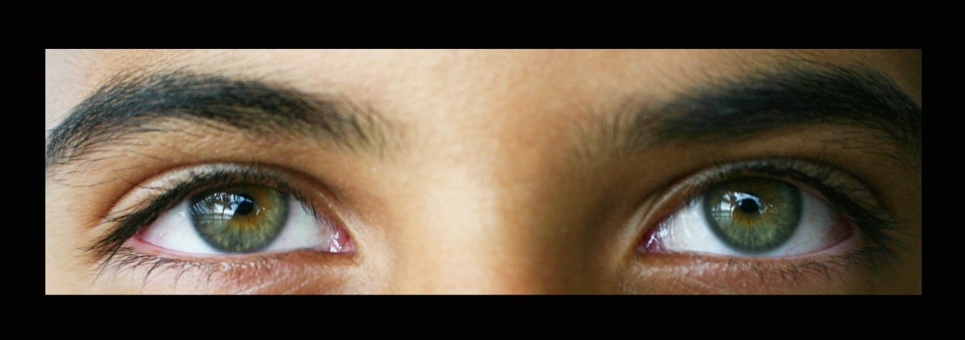 Adam's Eyes