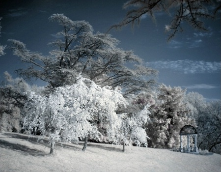 Cherries & Gazebo