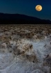 Moonlit Dreams