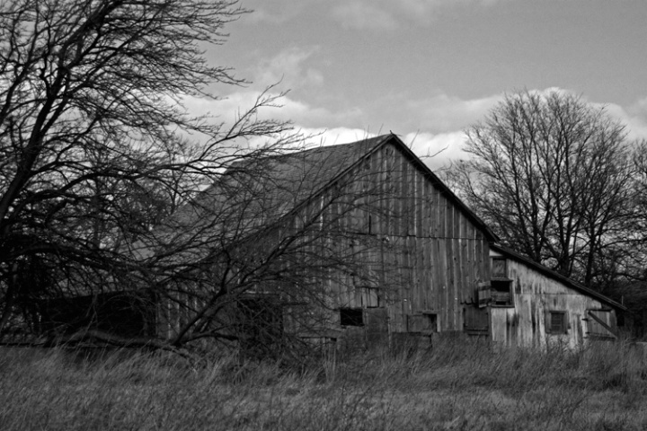 Black and White Barn