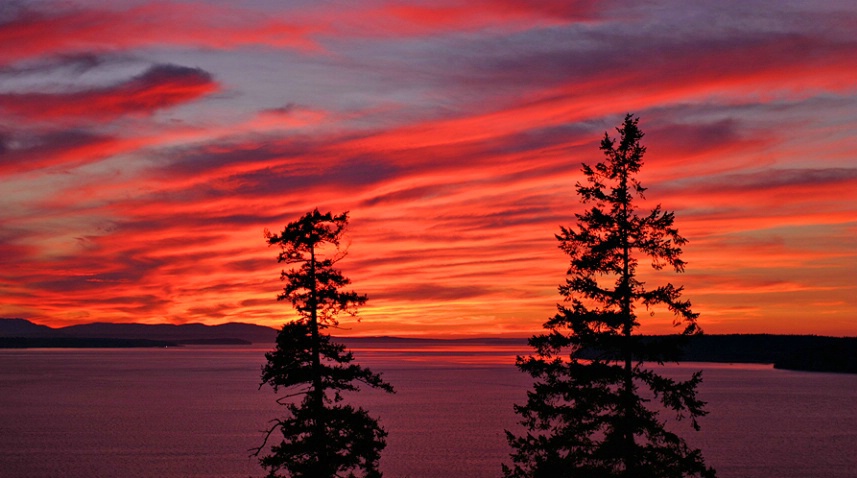 The Heavens Declare the Glory of God - ID: 1815960 © Janine Russell