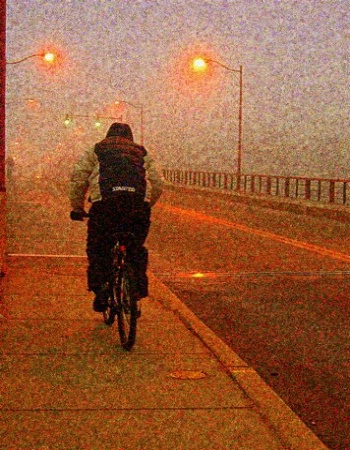 Biker on Eastport Bridge