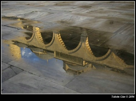 Reflection