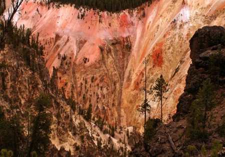 Pink wall, Grand Canyon of Yellowstone