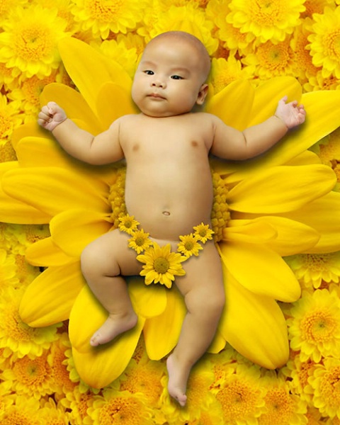Baby Lay On Yellow Flower