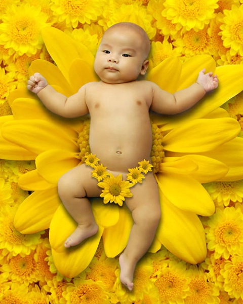 Baby Lay On Yellow Flower
