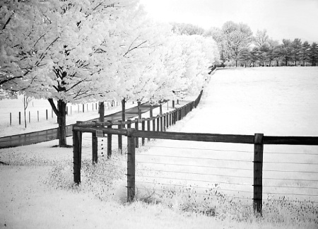 Rainy Day Infrared