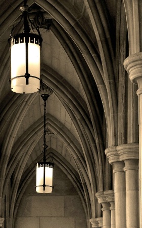 Cathedral Ceiling Lights