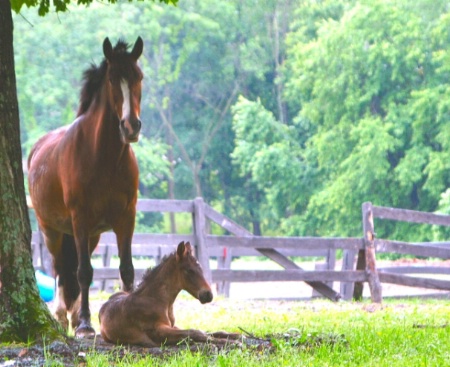 One Day Old