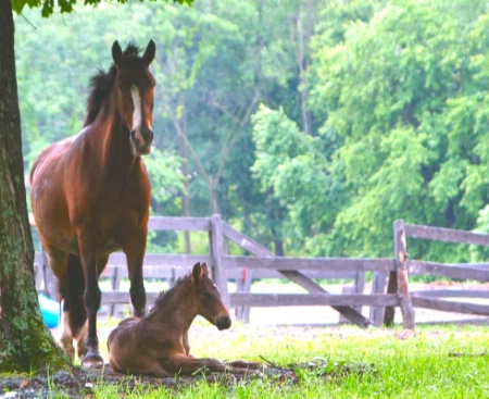 One Day Old