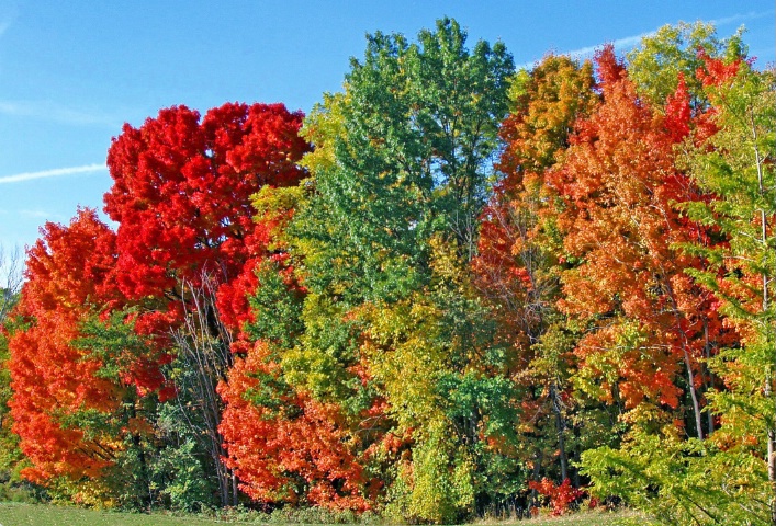 Autumn in Michigan