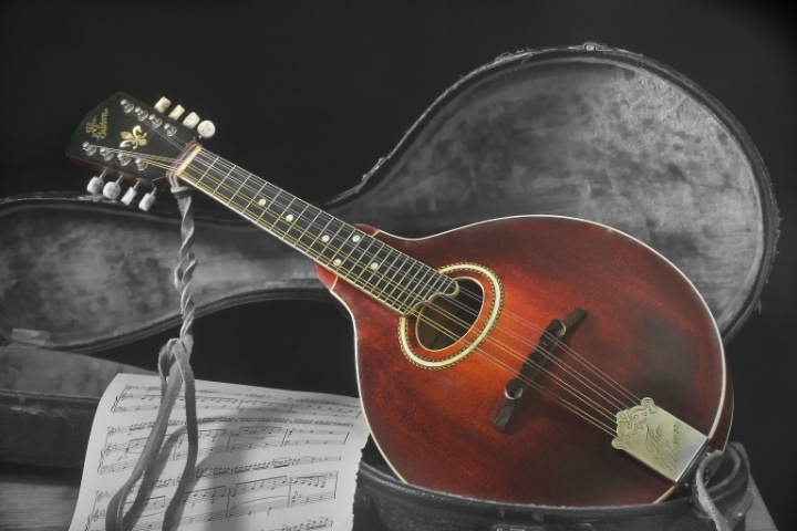 Gibson Mandoline