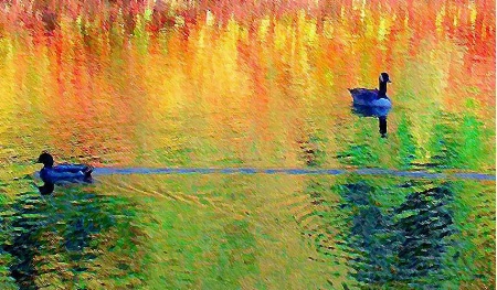 Ducks in Autumn 