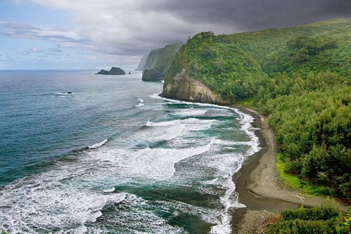 Pololu Beach 2-16-06 - ID: 1848924 © Robert A. Burns