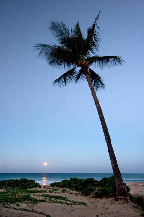Moonset Hapuna Beach, Hawaii 2-12-06 - ID: 1848936 © Robert A. Burns