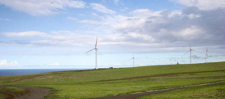 Wind Turbines, Kohala Hawaii 2-16-06 - ID: 1848956 © Robert A. Burns