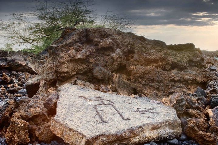 Petroglyph, Kohala Hawaii 2-16-06 - ID: 1849011 © Robert A. Burns