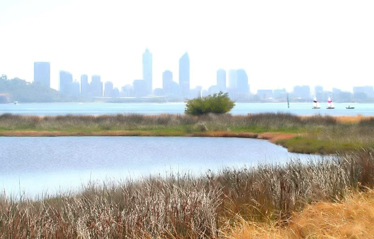 From Reeds To The City