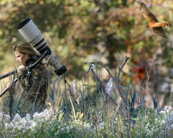 End Of a Wildlife Photographers Day - ID: 1852992 © Marilyn S. Neel