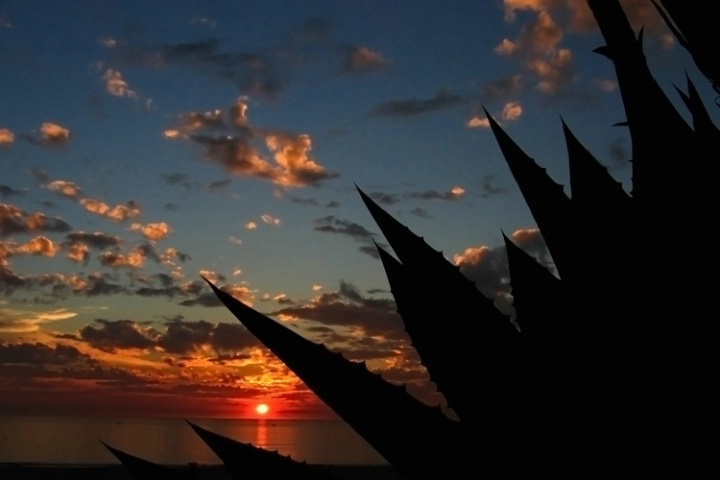 Santa Monica Sunset