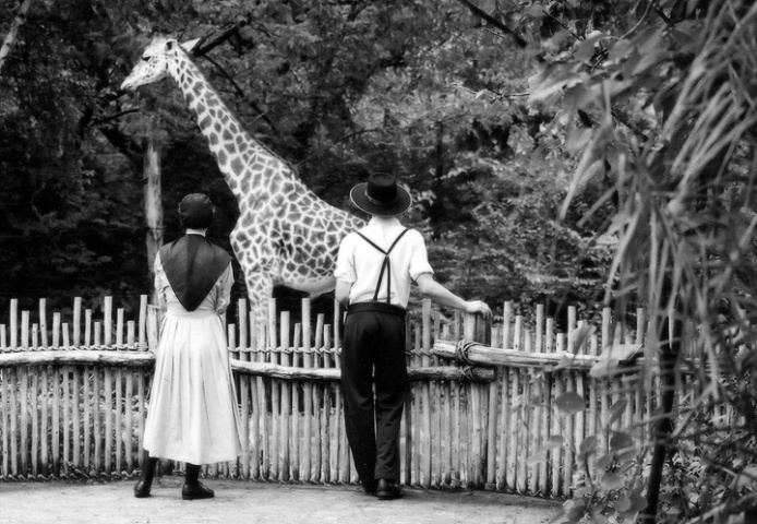 Amish Couple at the Zoo