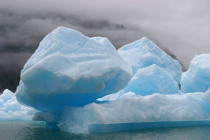 Icebergs in Fog, Southeast Alaska