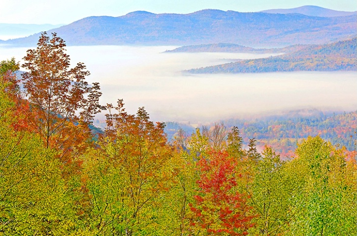 Valley of Fog