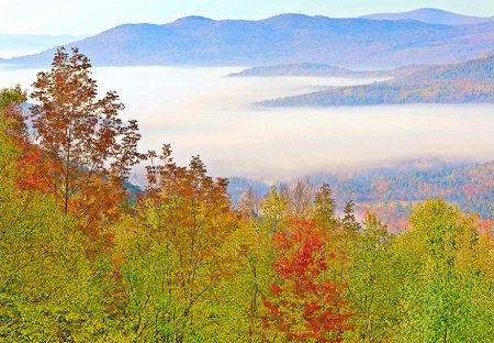 Valley of Fog