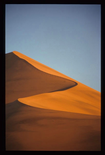 Dune Symmetry